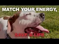 TLRD TL DR Match Your Energy Save a Life