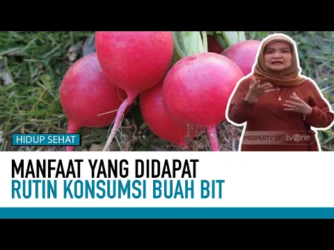 Buah Bit Si Merah Bernutrisi Mewah