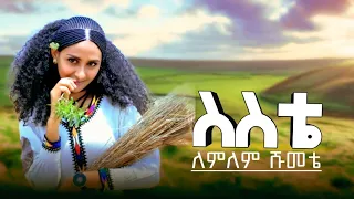 Lemlem Shumete Sste ለምለም ሹመቴ ስስቴ Ethiopian Traditional Music 