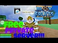 Free private server in Blox fruit without spending robux