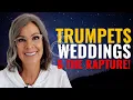 Download Lagu Trumpets, Weddings and The Rapture!
