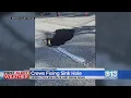 Large Grass Valley sinkhole caused by leaking underground water main police say