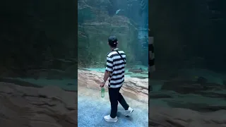 When I Am Enter The Another World Shorts Trending Ytshorts Seaworld 