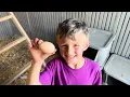 BACKYARD CHICKENS FOR BEGINNERS! | Caring For Egg Laying Hens The EASY Way!