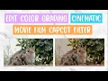 Capcut color grading filter || movie filter #2