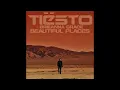 Tiesto, Brieanna Grace - Beautiful Places (Extended Mix)