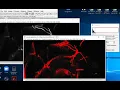 Using ImageJ FIJI to visualize confocal microscopy image stack tutorial