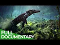 Download Lagu The Wild Soul of the Everglades National Park | Free Documentary Nature