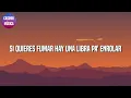 Mora, Feid - La Inocente || J Balvin, Sech, Myke Towers, Bad Bunny (Letras\Lyrics)