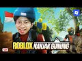 Download Lagu Mendaki Gunung...