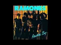 Ramones - "Somebody Put Something in My Drink" - Animal Boy