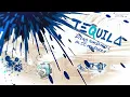Download Lagu DIEGO SAN DIEGO x Alec Monopoly - Tequila (Visualizer) Download Lagu DIEGO SAN DIEGO x Alec Monopoly - Tequila (Visualizer)