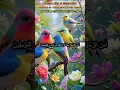 Download Lagu 🌙 Āmanar-Rasool (آمَنَ الرَّسُولُ) – the last two verses of 002_Surah Al-Baqarah (285-286) #shorts