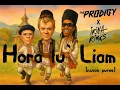 Download Lagu The Prodigy x Irina Rimes - Hora lu' Liam (nuson puree)