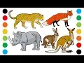 Wild Animals with Sounds Part2 Coloring Pages for Kids Digital Coloring