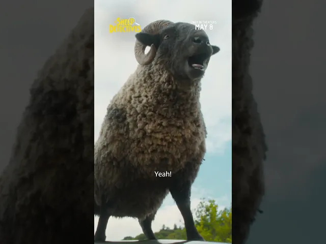 background images