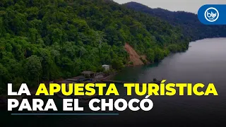 Fundación Santo Domingo anuncia iniciativa para impulsar el turismo en Nuquí y Bahía Solano, Chocó