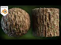 Procedural Tree Bark Blender Tutorial