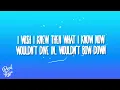 Katy Perry - Wide Awake
