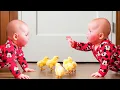 Download Lagu Baby and Pets: The Ultimate Cutest Team - Funny Babies Videos || Double Cute