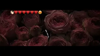 أنا الكنز  اللي في الرحلة   دندنها