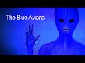 Lagu The Blue Aviams - Octavia Vasiles