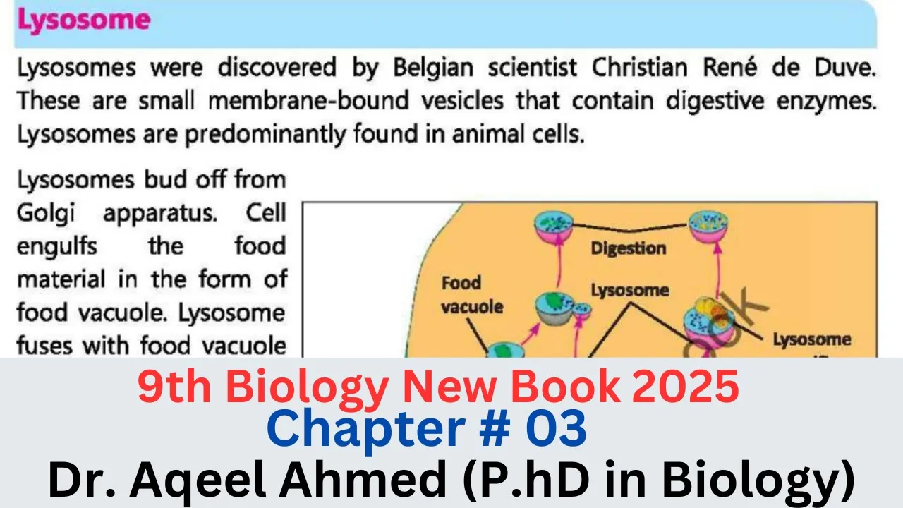 Lysosomes And Mitochondria 9th class Biology New Book Chapter 03 | 9th Biology PTTB Ch 3