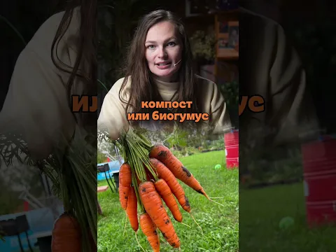 Грядка под морковь - готовим правильно #дачныйагроном #рекомендуем