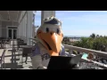 Double Tree Resort by Hilton Myrtle Beach Oceanfront