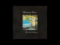 Throwing Muses ‎– Not Too Soon