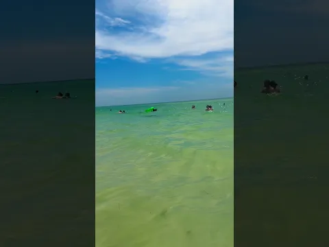 We Saw Something HUGE Swimming in the Sea! 😱🌊