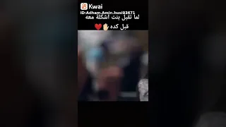 وليد وهبه 