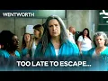 The Shocking Reason Will Jackson is Transferring The Freak - Wentworth Season 8 Episode 20