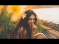 Download Lagu Polynesian Reggae | Coconut Tree 2025