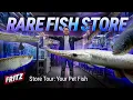 This Texas Fish Store is AMAZING But What Do They Feed Their Rare Fish