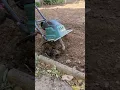 Download Lagu Je laboure une terre comme de la pierre grâce à cet outil ! Toi aussi tu peux le faire #jardin #diy