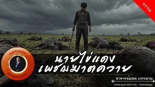 อาจารย์ยอด : นายไข่แดงเพชฌฆาตควาย [กรรม]