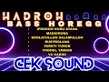 Lagu CHECK THE SOUND OF HADROH FULL BASS HOREG JERNIH
