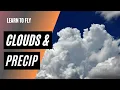 Clouds and Precipitation Weather for Pilots