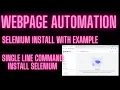 Webpage Automation Bot Selenium Tutorial With Amazing example Must watch