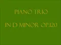 GABRIEL FAURE - PIANO TRIO in D minor Op.120 -Allegro,ma non troppo.