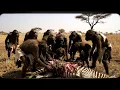 Download Lagu Millions of Years Ago: How Early Humans Fought and Survived the Savage Wilderness