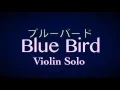 Download Lagu Blue Bird - Violin - Naruto Shippuden