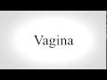 Download Lagu How to Pronounce Vagina