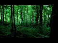 フォーレ　塔の中の王妃　ピアノバージョン　Gabriel Fauré Une Châtelaine en sa tour Piano solo ver