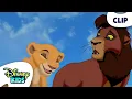 Lagu Simba's Daughter Learns to Roar 🦁 | The Lion King 2 | ‪@disneykids