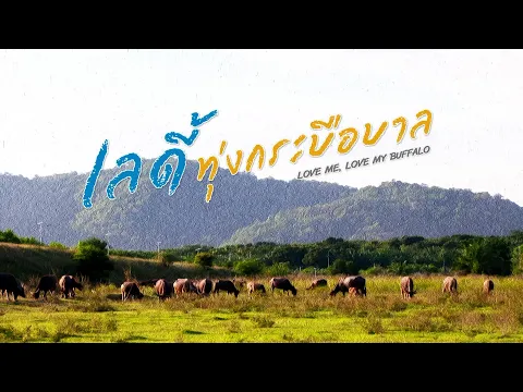 เลดี้ทุ่งกระบือบาล | ละครดี 7HD ปี 2567