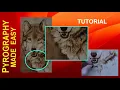 Wood Burning - Wolf Thick Neck Fur