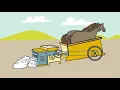 The Cotton Gin - An Infamous Invention
