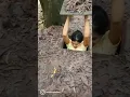 Download Lagu HIDE \u0026 SEEK CHALLENGE🙄😱 #mustwatch #likeforlikes #scary #hide  #underground #shorts #hideandseek